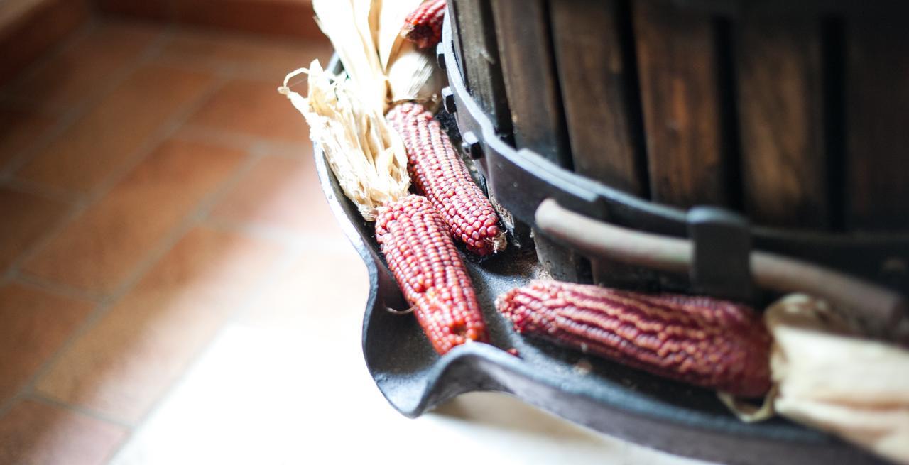 CrespinoAgriturismo Principe Pio别墅 外观 照片